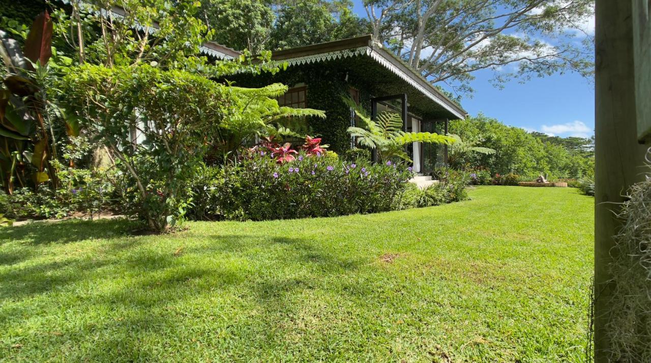 Green Cottage שאמארל מראה חיצוני תמונה
