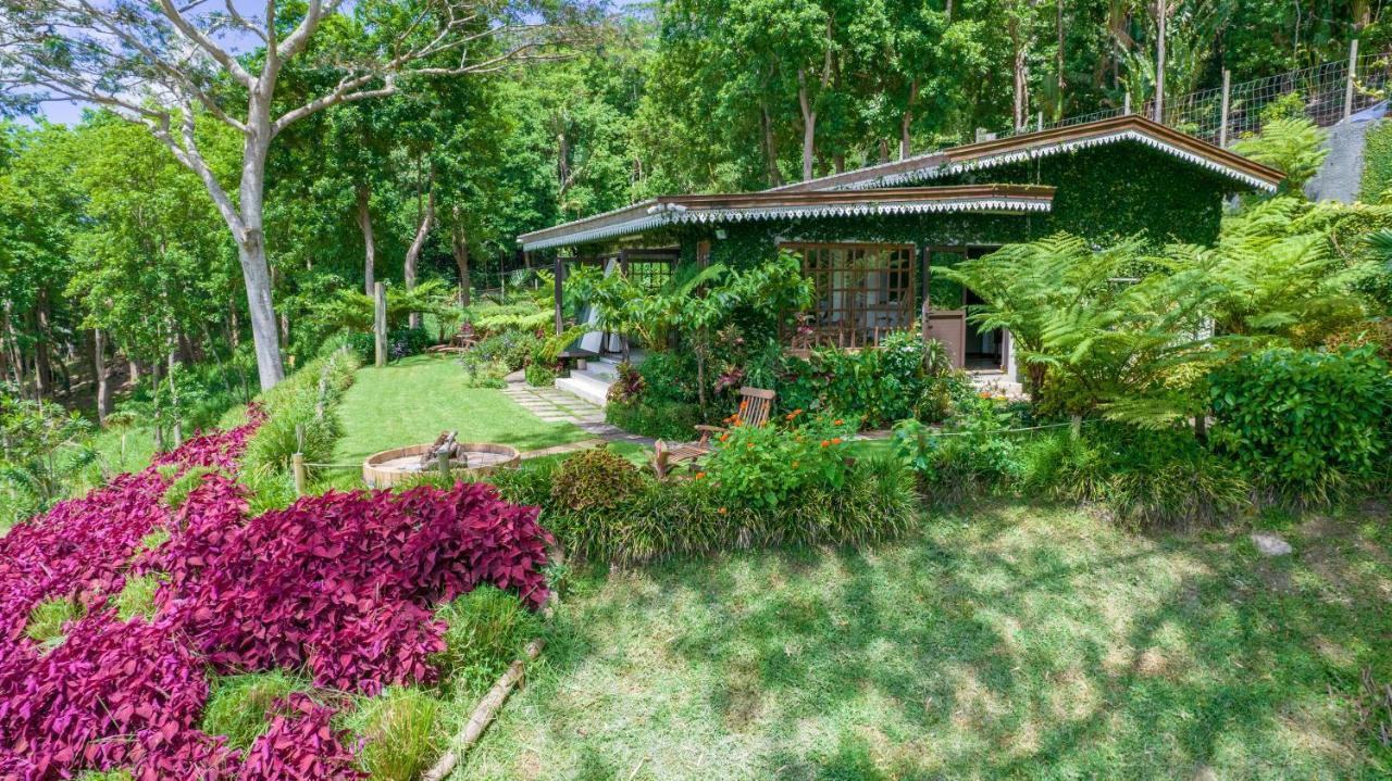 Green Cottage שאמארל מראה חיצוני תמונה