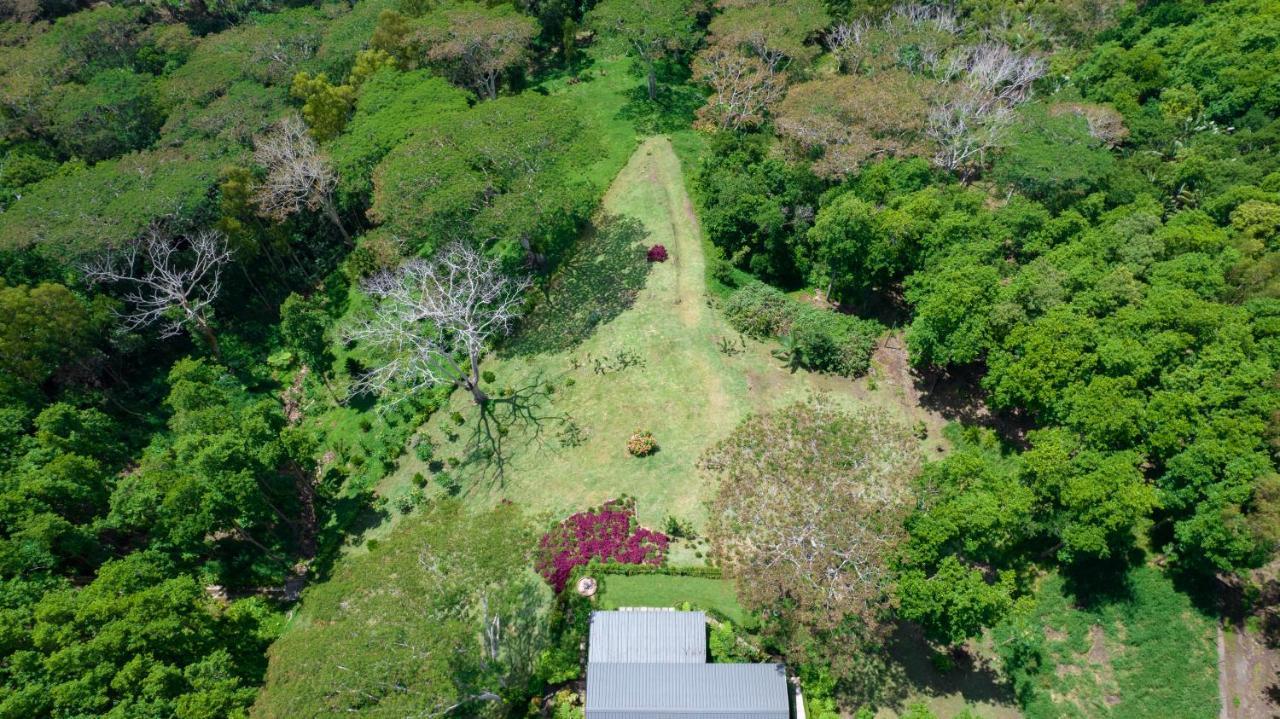 Green Cottage שאמארל מראה חיצוני תמונה